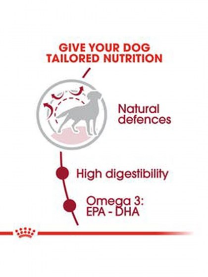 SHN MEDIUM ADULT_web4